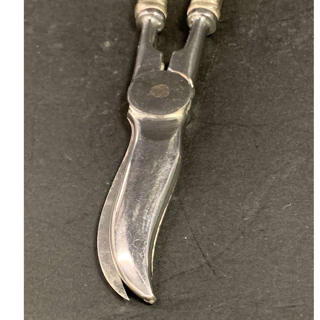 Web Sterling Silver & Stainless Steel Scissors - 3