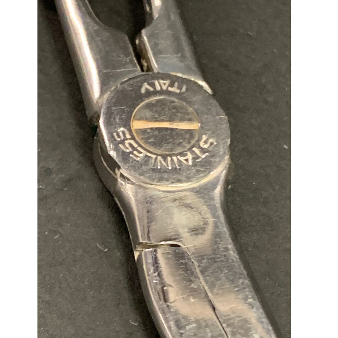 Web Sterling Silver & Stainless Steel Scissors - 5