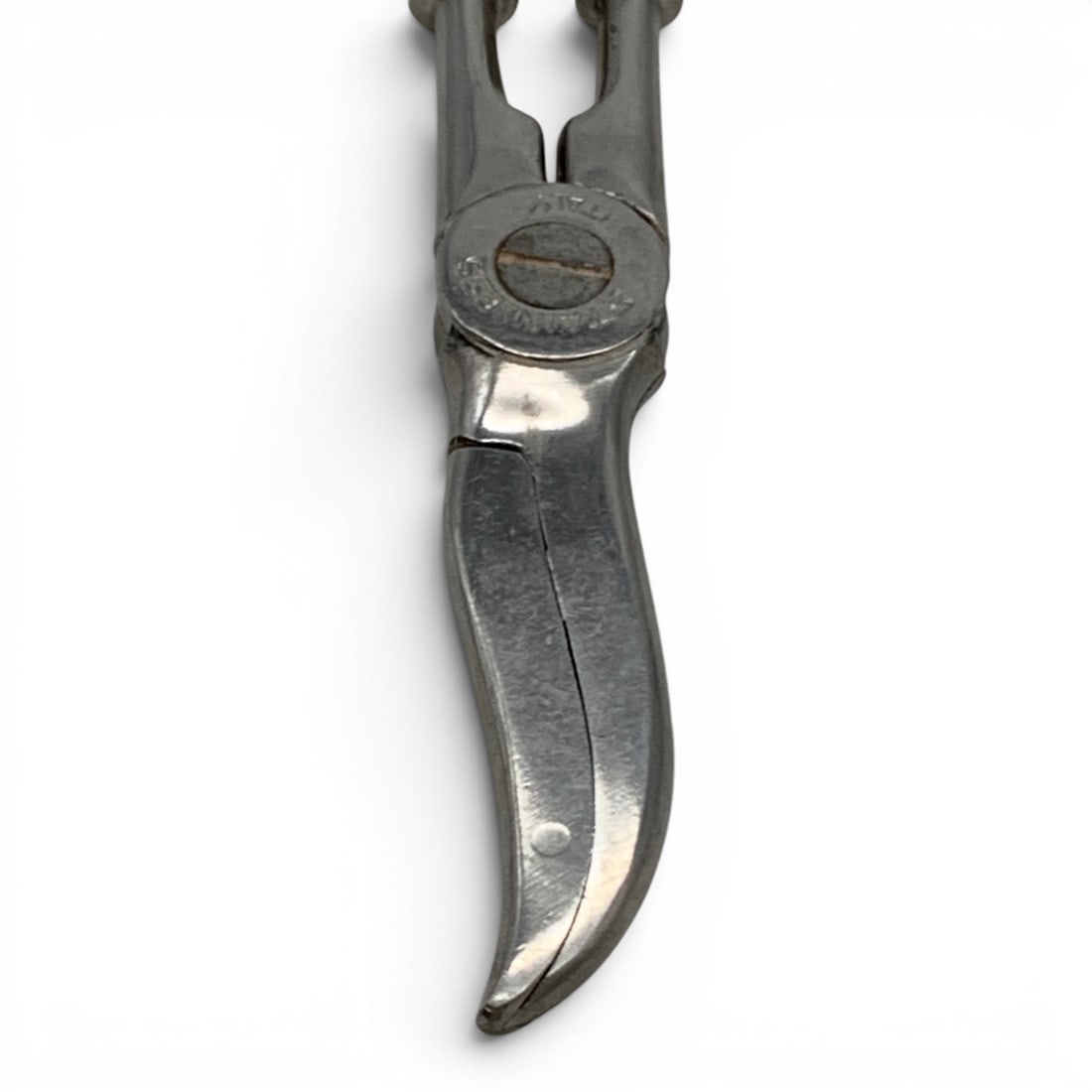 Web Sterling Silver & Stainless Steel Scissors - 8