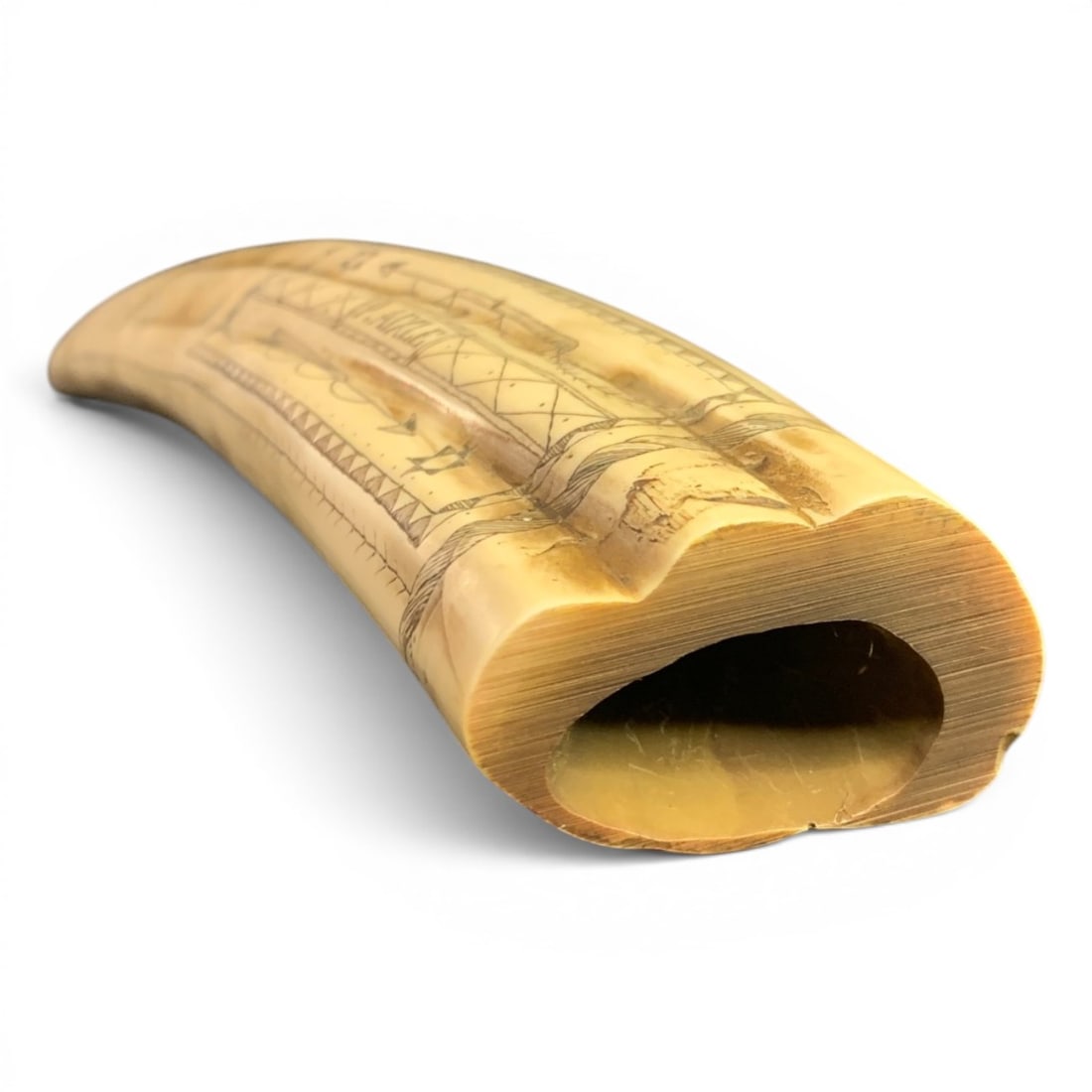 Reproduction Scrimshaw Walrus Tusk Cribbage Board (1 of 9)
