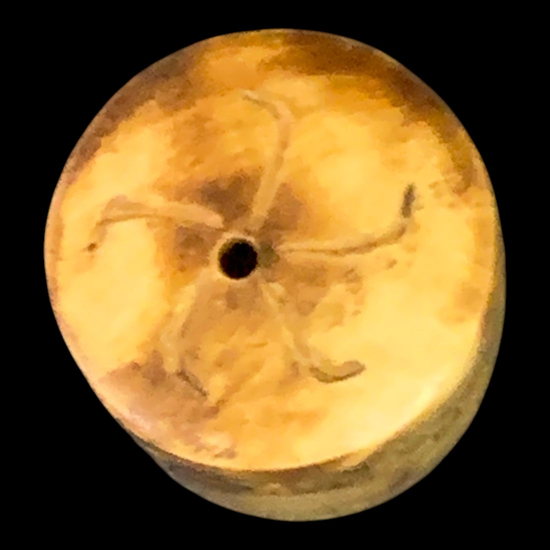Hand-carved Bone Toggle - 4