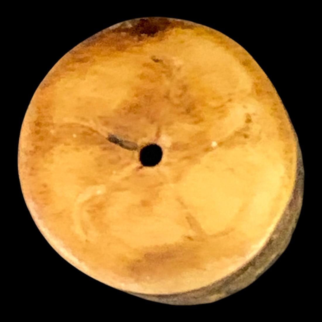 Hand-carved Bone Toggle - 5