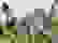 item-18900768=3