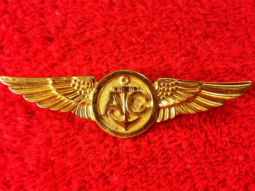 United States Navy post WW2 Air Crew Wings 3" G.F. (1 of 4)