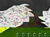 item-210895974=13