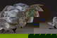 item-210895974=1