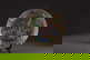item-210895974=3