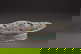 item-210895974=5