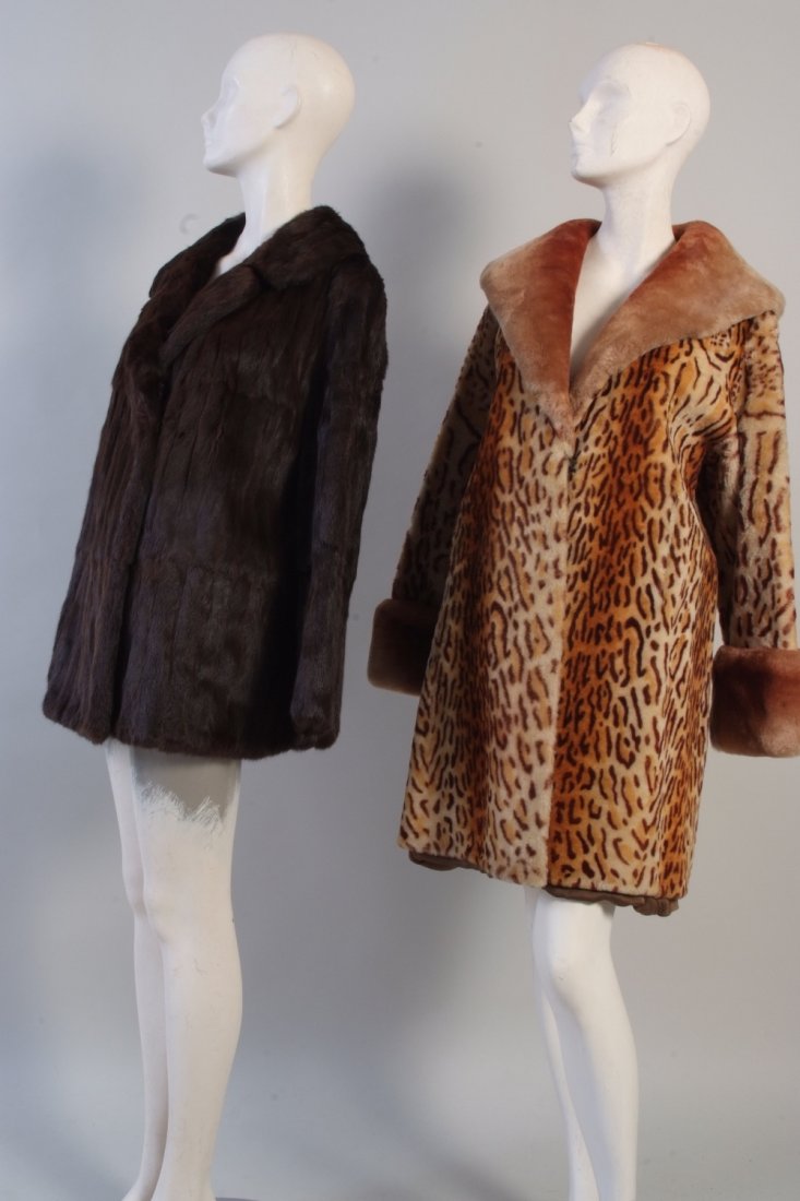 Two 1950's Fur coats. A brown squirrel fur jacket. A: Two 1950's Fur coats. A brown squirrel fur jacket. A dyed beaver lamb jacket. (2)