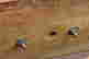 item-4048375=7