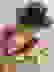 item-315405=4