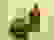 item-315417=4