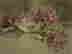 item-316301=2