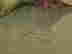 item-316301=3