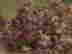 item-316301=4