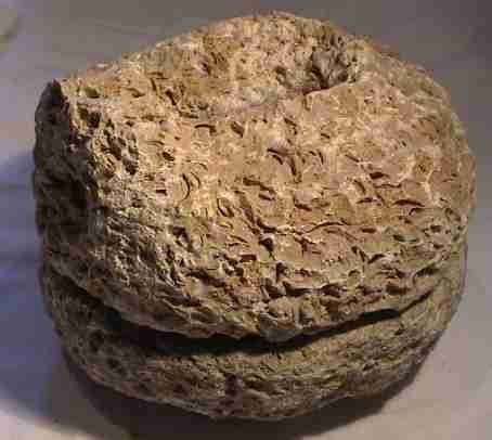 VERY RARE NEOLITHIC HAND MILL: VERY RARE NEOLITHIC HAND MILL, Germany c. 3000 BC. The mill consists of two stones. In the middle of the stones is a hole for the axle and for filling in the grain. In the upper stone there is also a 