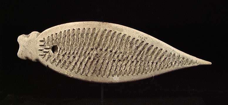 LARGE TAIRONA FISH GRATER: TAIRONA FISH GRATER, ca. 800-1500 AD. The pottery grater in the form of a fish with rough grating ridges. 11.5 inches.Provenance: An extensive East Coast Pre-Columbian collection. Acquired from a New
