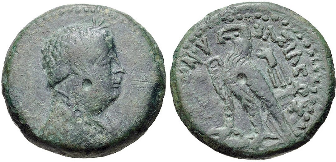 EGYPT SCARCE PTOLEMY III PORTRAIT COIN: EGYPT, PTOLEMY III, 246-222 BC. AE (20mm, 6.33 g, 12h). Alexandreia mint. Struck 245 BC. Laureate bust right, wearing aegis / Eagle standing left on thunderbolt; filleted cornucopia to right. Svoronos