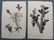 5 Audubon Octavo Prints Birds - 2