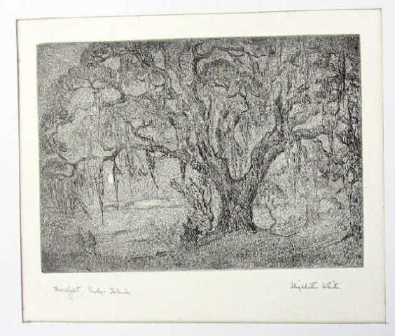 Elizabeth White, Etching, Sumter SC (1 of 4)