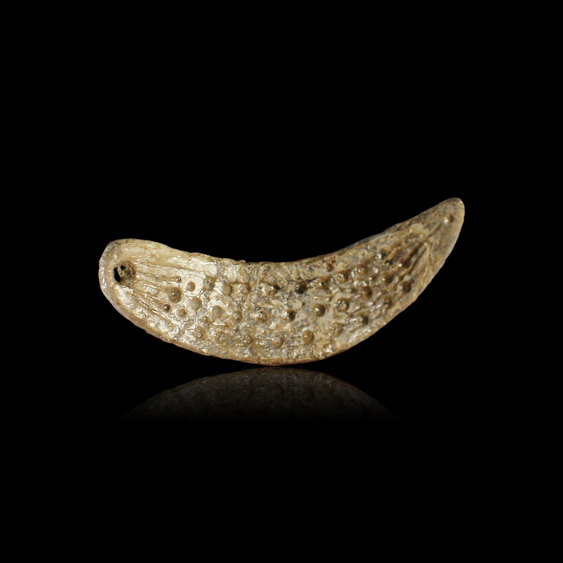 Pre-Columbian Colima Incised Shell Pendant: A Pre-Columbian shell pendant with incised and drilled designs from the ancient Colima region of West Mexico, circa 200 B.C. - 300 A.D. The ancient maker painstakingly applied incised lines and puncta