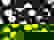 item-530217=2