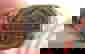 item-530236=2