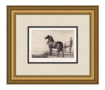 Paulus Potter Neighing Horse Etching Durand: Paulus Potter (Dutch, 1625-1654). Neighing Horse. Approximately 14 x 18 inches. Antique Hand Pulled Copper Plate Etching on Laid paper after the original by Renowned Master Engraver Amand Durand (1831