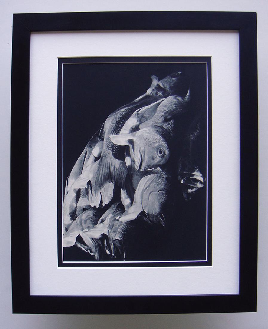 Therese Le Prat 1930's Photogravure Fish (1 of 1)