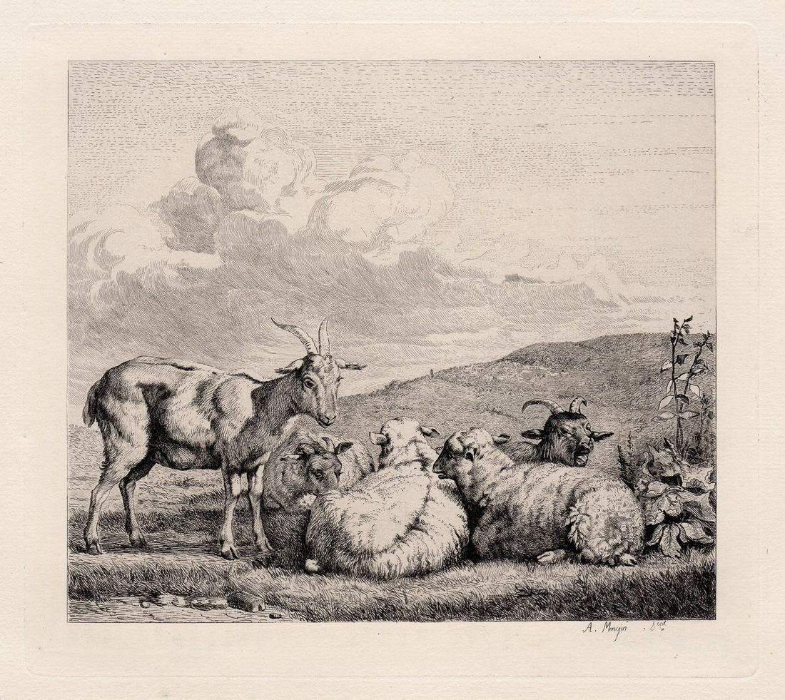Karel Dujardin Sheep and Goats etching signed: Karel Dujardin. (Dutch, 1622-1678). Sheep and Goats. Antique etching on thick laid paper after the original by master etcher Pierre-Antoine Mongin (French, 1761-1827). 1877. Signed in the plate, lower