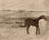 Edgar Degas 1892 Etching Horses in pasture - 2