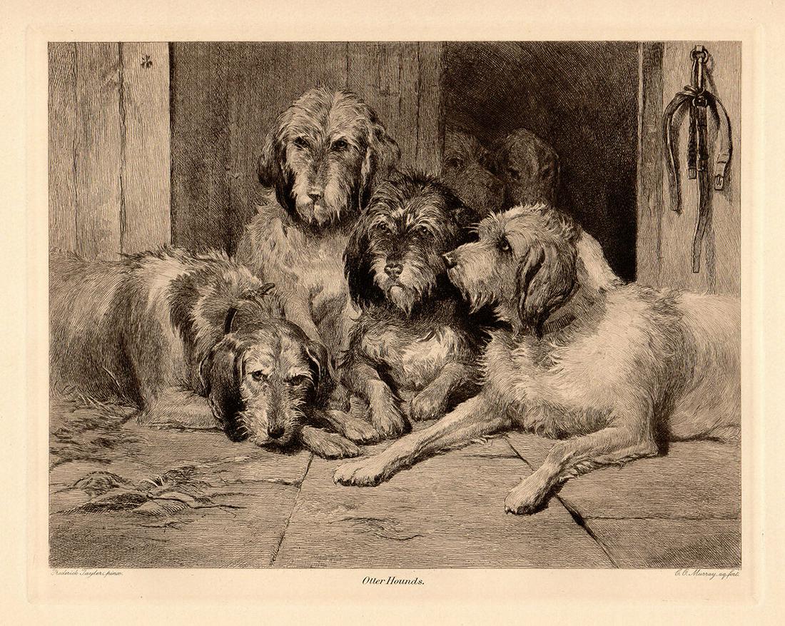 Fred Tayler Otter Hounds 1893 etching: Fred Tayler. (John Frederick Tayler) (British,1802-1889). Otter Hounds. Antique Etching on wove paper after the original watercolor by master etcher Charles Oliver Murray (Scottish, 1842-1923). 1893. 