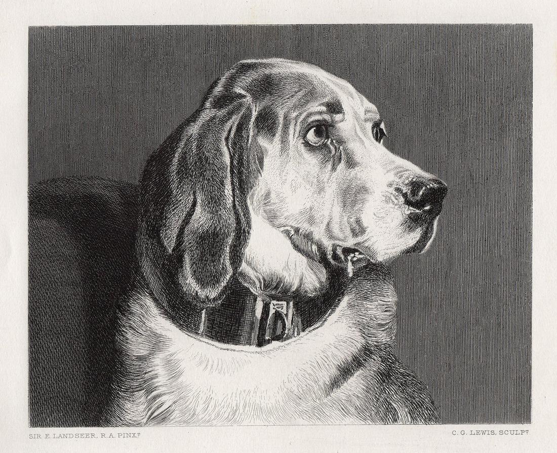 Sir Edwin Henry Landseer Odin engraving signed: Sir Edwin Henry Landseer. (English, 1802-1873). Odin. Antique Steel Engraving on wove paper after the 1836 original by master engraver Charles George Lewis (English,1808-1880). 1879. Signed in the pla