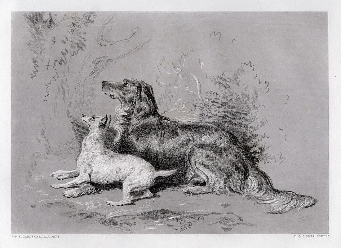 Sir Edwin Henry Landseer Safe! 1876 engraving: Sir Edwin Henry Landseer. (English, 1802-1873). Safe!. Antique Steel Engraving on wove paper after the original drawing by Master Engraver Charles George Lewis (1808-1880). 1876. Signed in the plate.