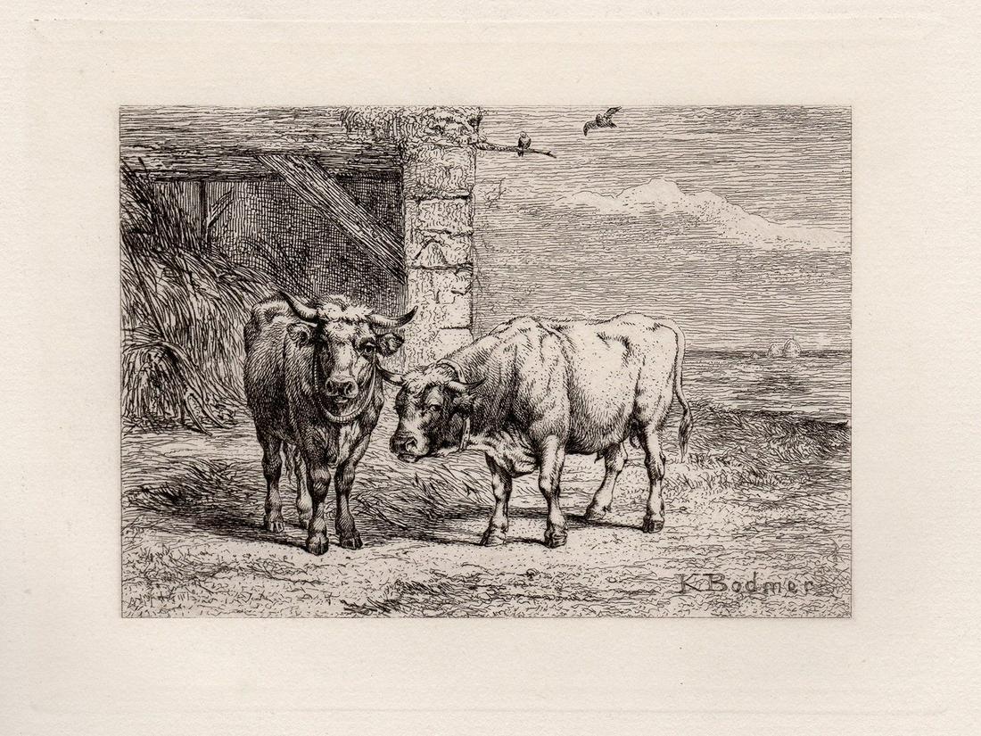 Johann Carl Bodmer Oxen Etching 1872: Johann Carl Bodmer know as Karl Bodmer. (Swiss, 1809-1893). Oxen. Antique etching on thick laid paper. 1872. Signed in the plate lower right. Excellent. Image size 5 3/4 x 6 1/4 inches. Approximately 