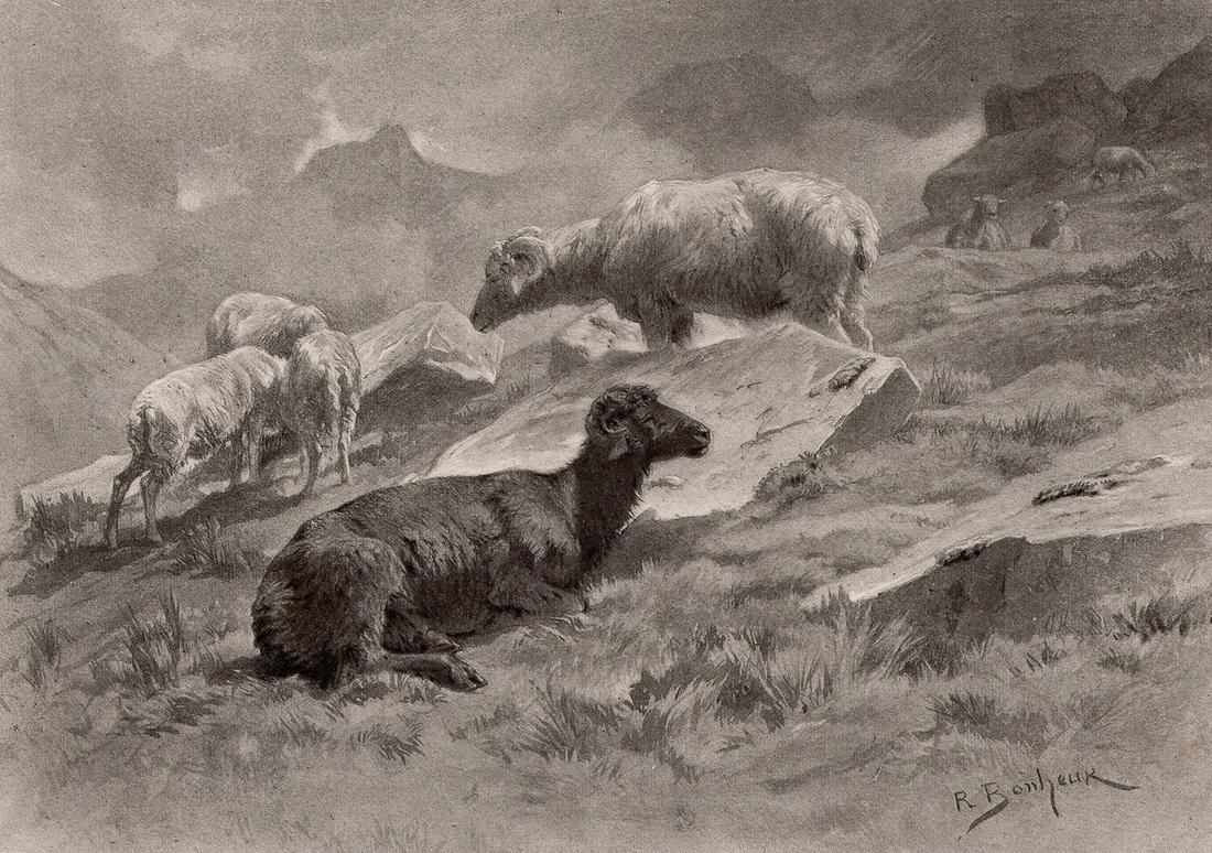 1875 Rosa Bonheur Sheep print signed: Rosa Bonheur. (Marie-Rosalie Bonheur) (French, 1822-1899). Sheep. Antique Heliogravure on thick wove paper after the original. 1875. Signed in the plate, lower right. Excellent. Image size 7 1/2 x 9 1