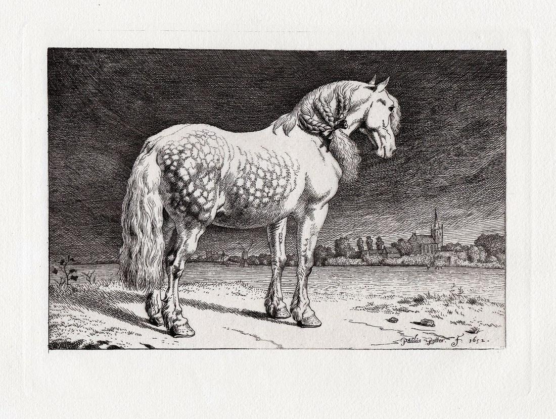 Paul Potter The Friesland Horse etching signed: Paul Potter. (Paulus Potter) (Dutch, baptized, 1625-1654). The Friesland Horse. Antique etching on wove paper after the original by master etcher Amand Durand (1831-1905). 1879. Signed/Dated in the pl