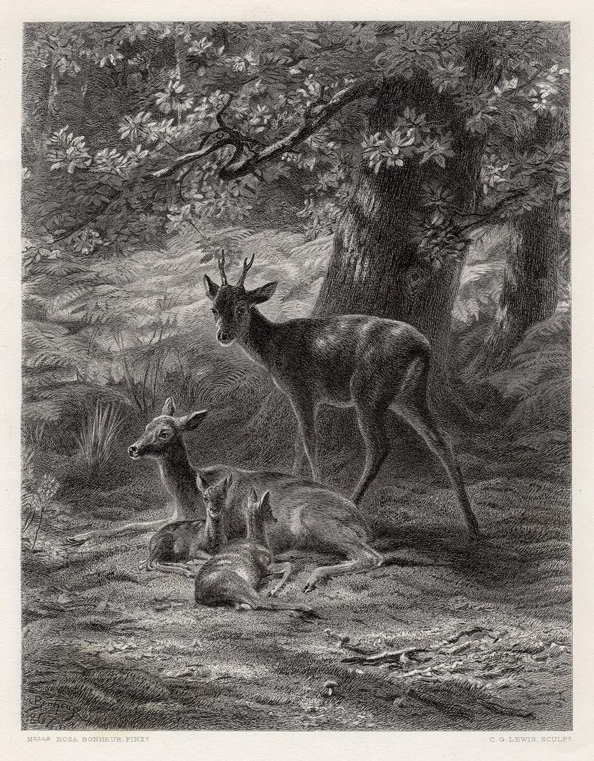 Rosa Bonheur Deer engraving signed 1879: Rosa Bonheur. (Marie-Rosalie Bonheur) (French, 1822-1899). The Resting Place of the Deer. Antique Steel Engraving on wove paper after the original Master Engraver Charles George Lewis (English, 1808-1