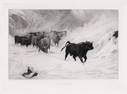 John MacWhirter Cattle Drive 1879 etching