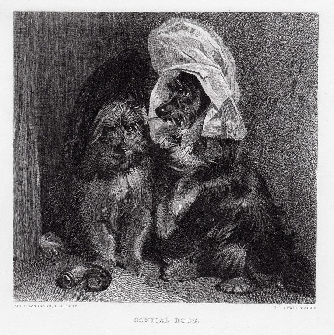Sir Edwin Henry Landseer 1879 engraving Comical Dogs (1 of 2)