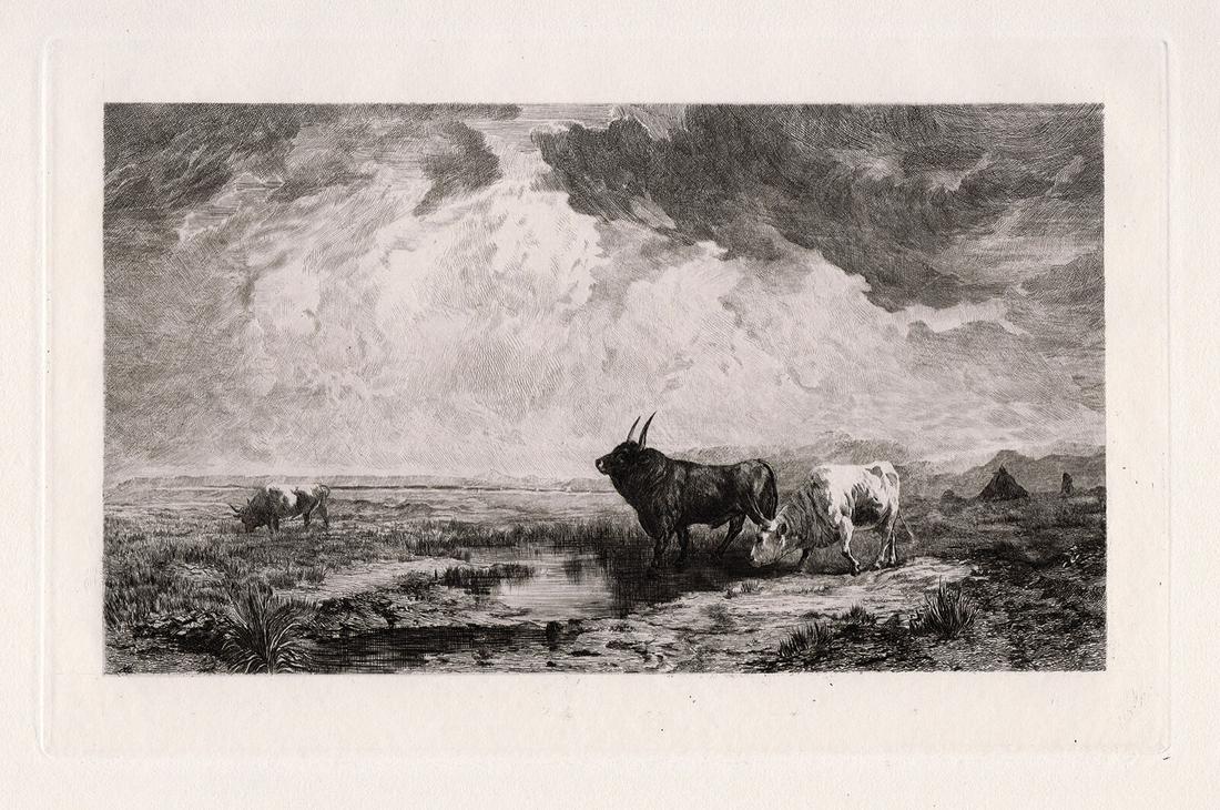Camille Paris Etching Bulls in Roman Campagna (1 of 2)