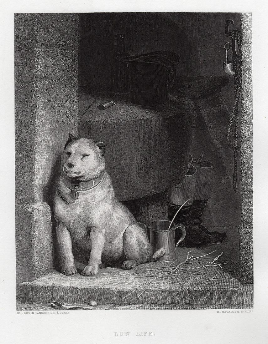 Sir Edwin Henry Landseer 1879 engraving Low Life signed (1 of 2)