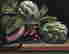item-131942405=4