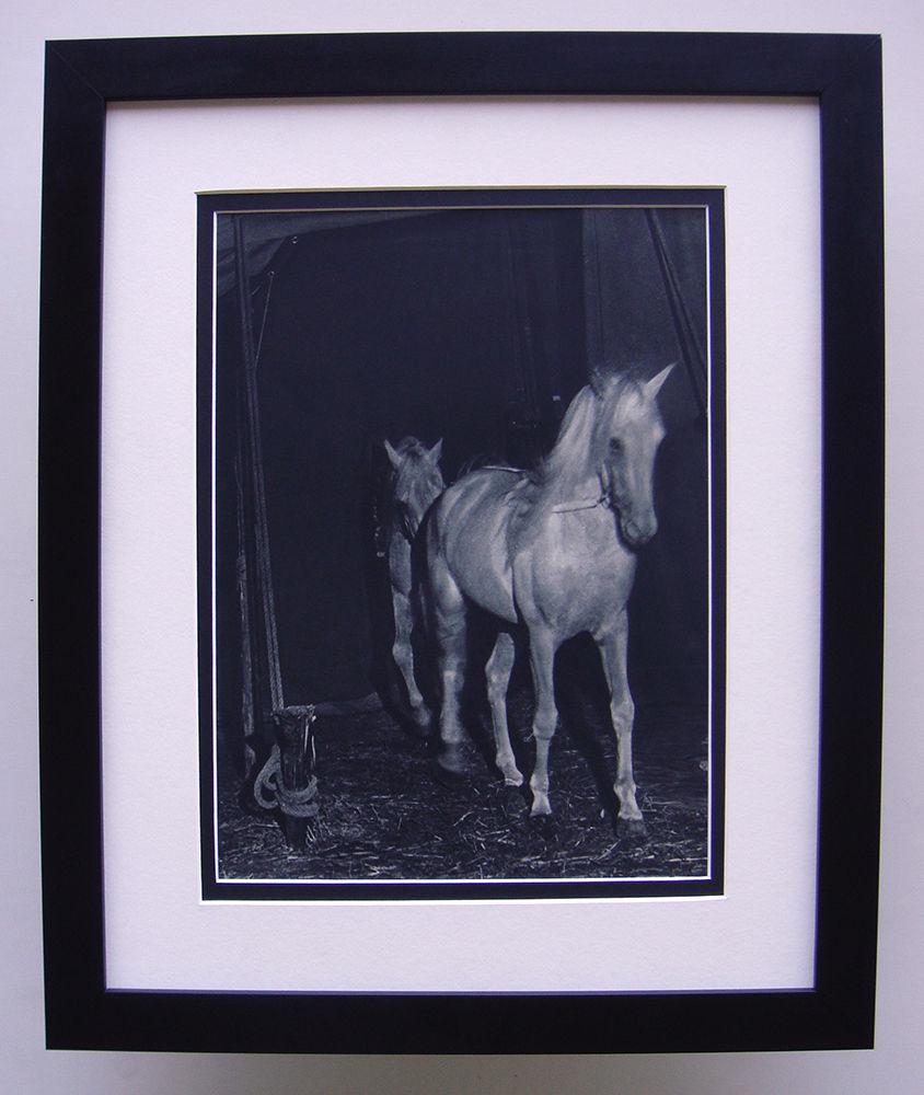 Brassai Horses Antique Photogravure: Brassai (Hungarian-French, 1899-1984). Horses. Approximately 19 x 22 inches. Antique Photogravure. 1937-1940. Teriade. Draeger Freres This artwork is accompanied by a Gallery Certificate of Authentici