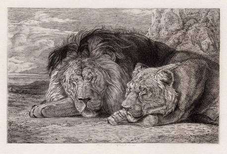 John Frederick Lewis 1880 etching Lion and Lioness signed: John Frederick Lewis. (English, 1804-1876). Lion and Lioness. Antique etching on thick laid paper. 1880. Signed in the plate. Excellent. Image size 5 1/8 x 7 1/2 inches. Approximately 14 x 17 inches.