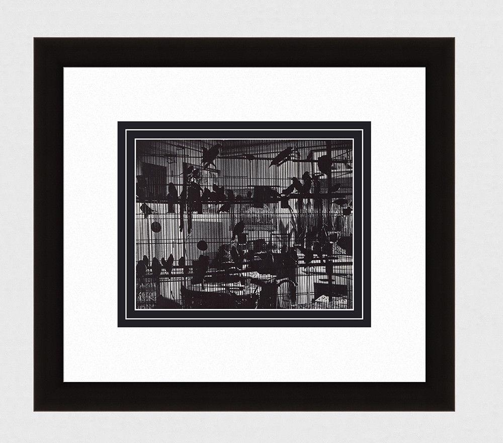 Brassai Henri Matisse's Aviary in his Paris Studio II 1930's photogravure: Brassai. (Hungarian-French, 1899-1984). Henri Matisse's Aviary in his Paris Studio II. Antique Photogravure. 1937-1940. Excellent. Teriade. Draeger Freres. Image size 7 x 9 inches. Approximately 16 x