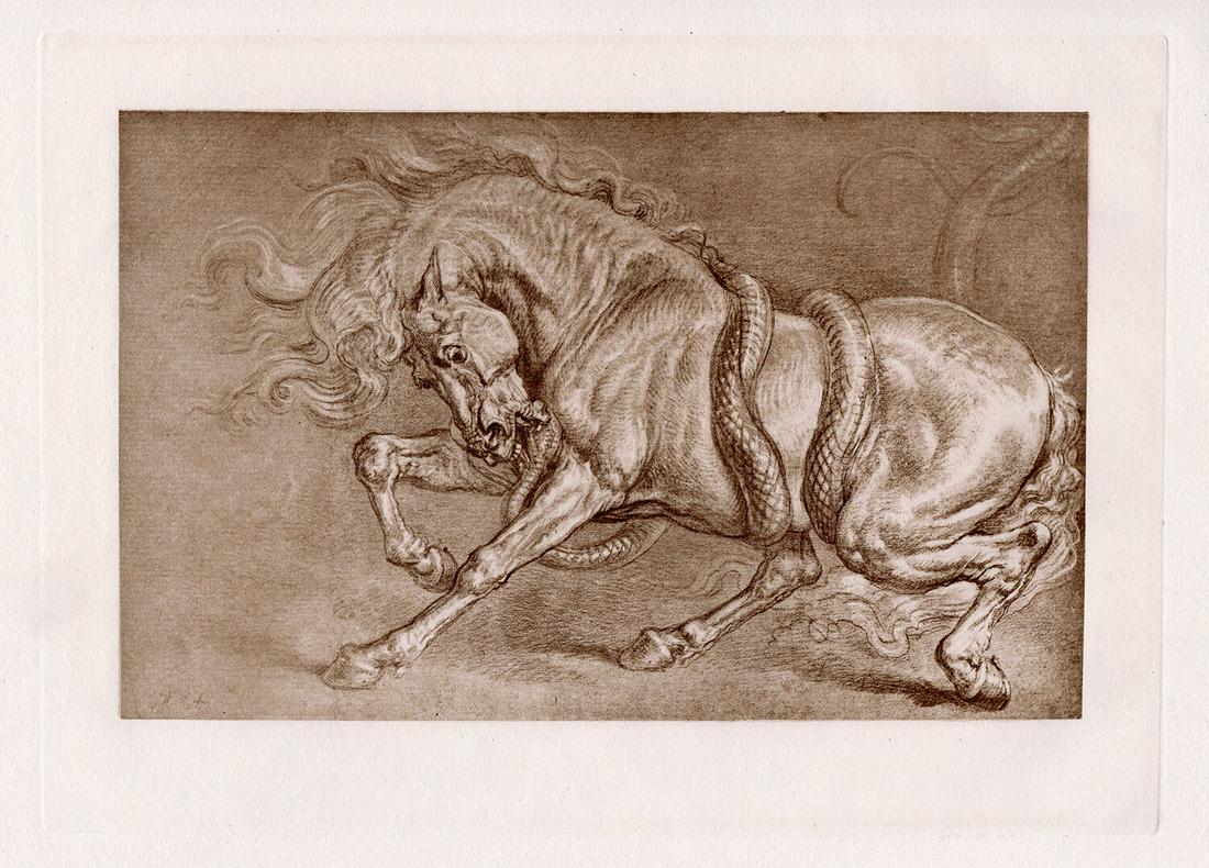 James Ward Horse Attacked by a Serpent 1886 print: James Ward. (English, 1769-1859). Horse Attacked by a Serpent. Antique Heliogravure on thick wove paper after the original by Dujardin. 1886. Excellent. Image Size 8 x 11 inches. Approximately 16 x 19