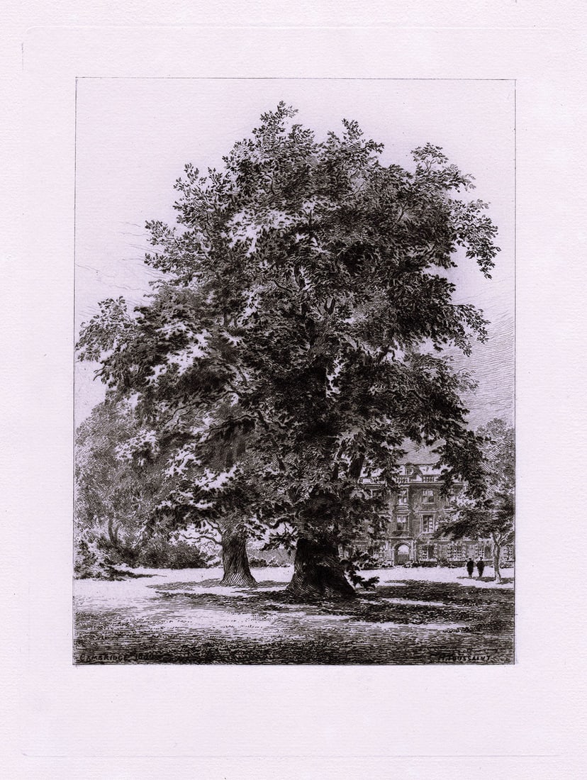 Charles Henri Toussaint 1880 etching Library of Trinity Hall signed (1 of 3)