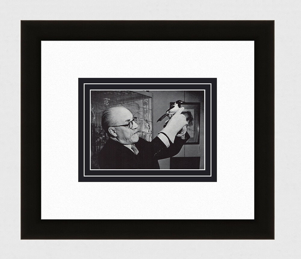 Brassai Henri Matisse's Aviary in his Paris Studio 1930's photogravure: Brassai. (Hungarian-French, 1899-1984). Henri Matisse's Aviary in his Paris Studio. Antique Photogravure. 1937-1940. Excellent. Teriade. Draeger Freres. Image size 4 3/4 x 6 3/4 inches. Approximately