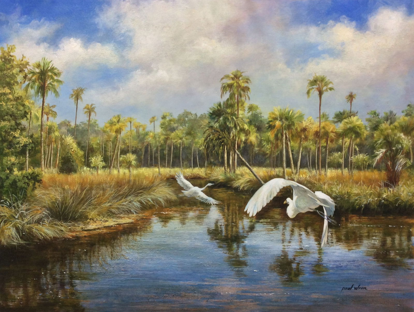 Original Paul Wren White Egrets Painting 40 x 30 (1 of 4)